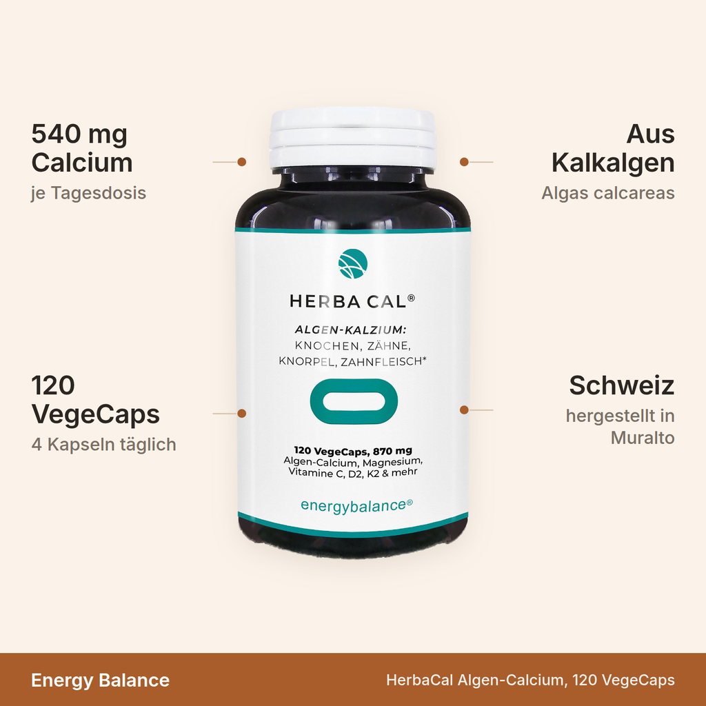HerbaCal Algen-Calcium – 540 mg Calcium je Tagesdosis, 120 VegeCaps, aus Kalkalgen, hergestellt in der Schweiz